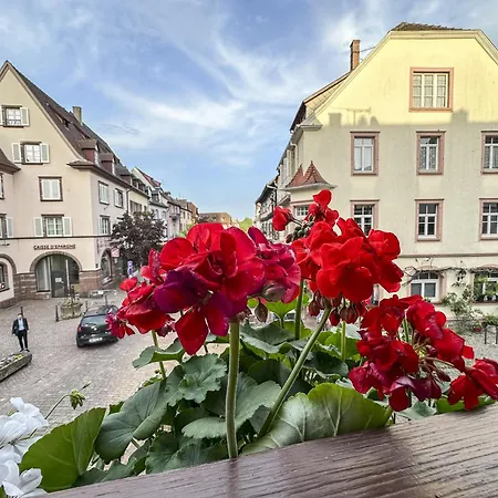 Origin'alsace