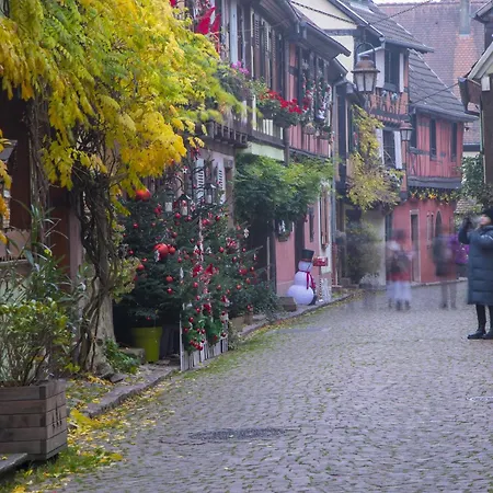 Origin'alsace Apartman *