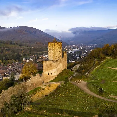 Apartment Origin'alsace Kaysersberg-Vignoble